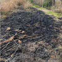 Foto 21.04.25, 18 14 38 (3).png