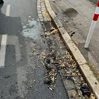 Foto 14.07.25, 17 52 39 (4).png