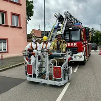 foto1.png
