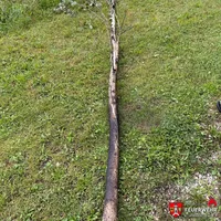 vorlage_wasserzeichen_-_1.png